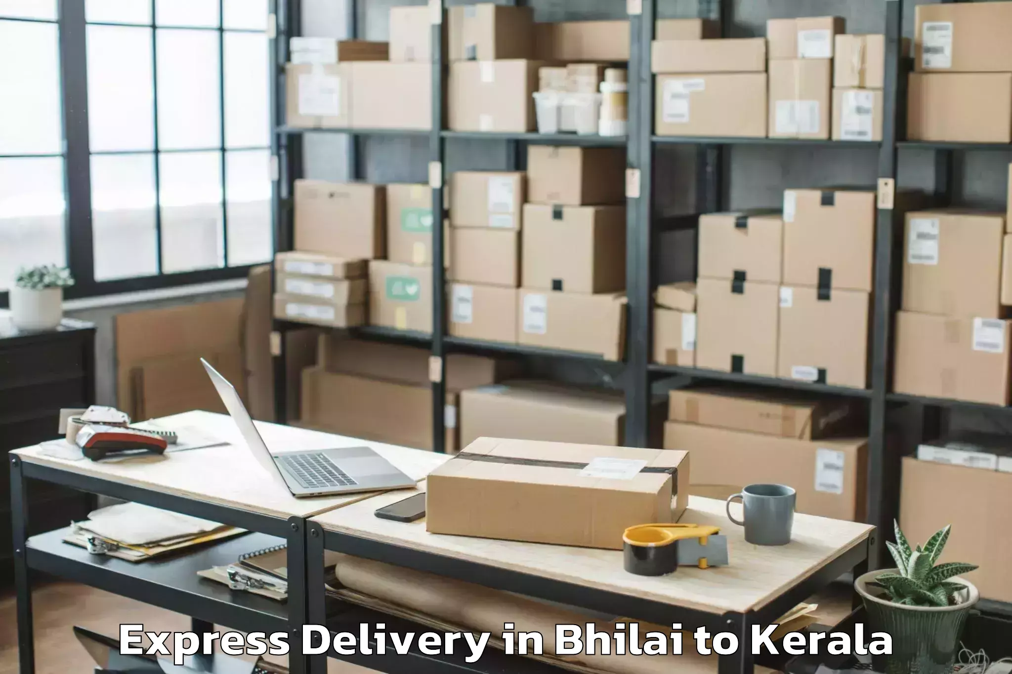 Hassle-Free Bhilai to Iringal Express Delivery